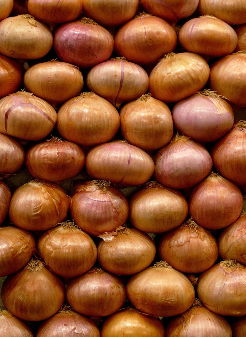 food-3045996_1280