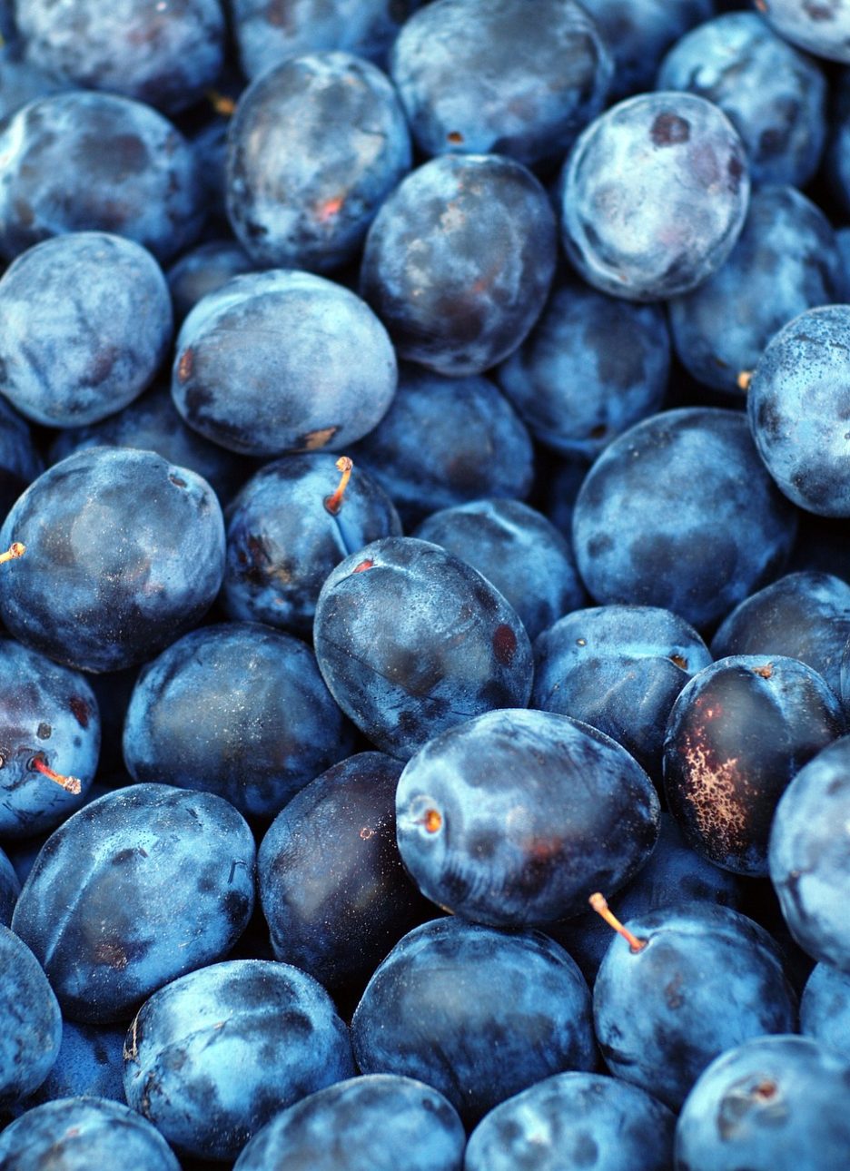 plum-1542428_1280